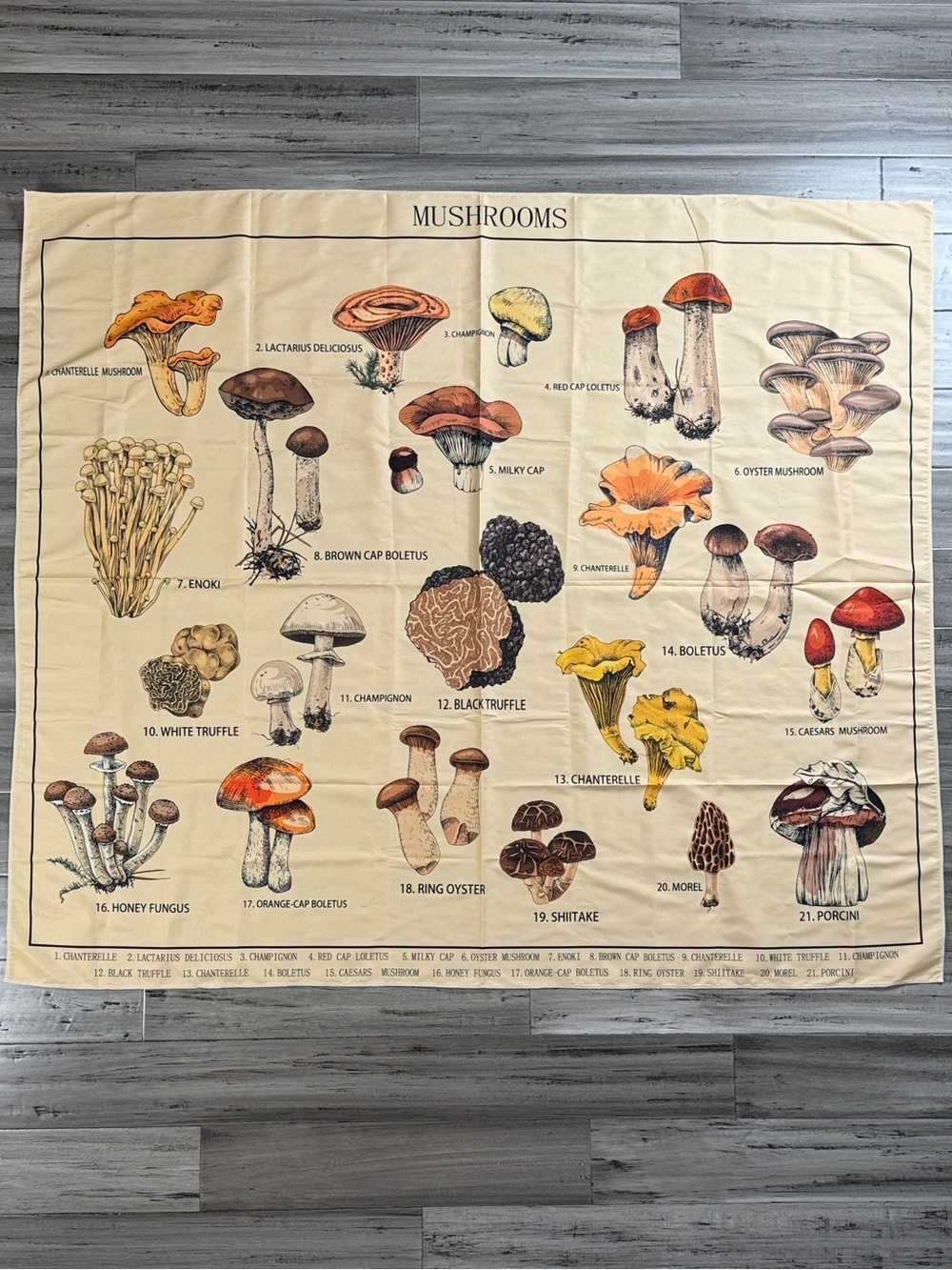 MUSHROOM BOTANICAL FABRIC WALL HANGING 58.5” x 50” COTTAGECORE FUNGI